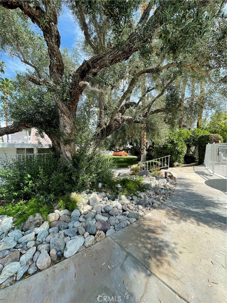 42278 Dunes View Road, Unit 28 Rancho Mirage, CA 92270 - Photo 49 of 57 a view of a park with large trees