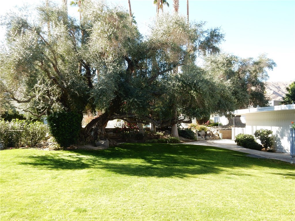 42278 Dunes View Road, Unit 28 Rancho Mirage, CA 92270 - Photo 51 of 57 a view of a lake with houses