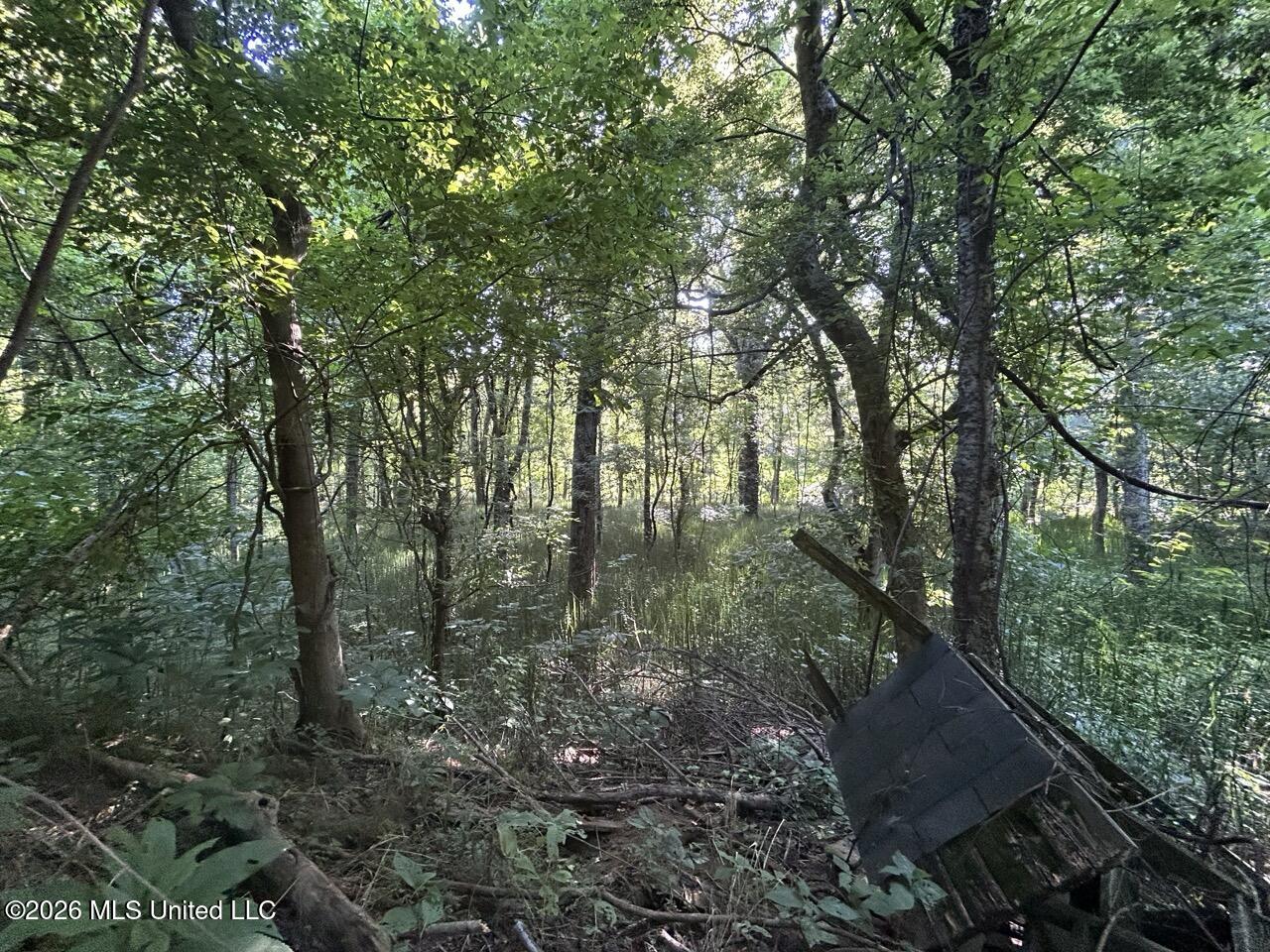 Annas Bottom Road Natchez, MS 39120 - Photo 22 of 48 IMG_4755 Large