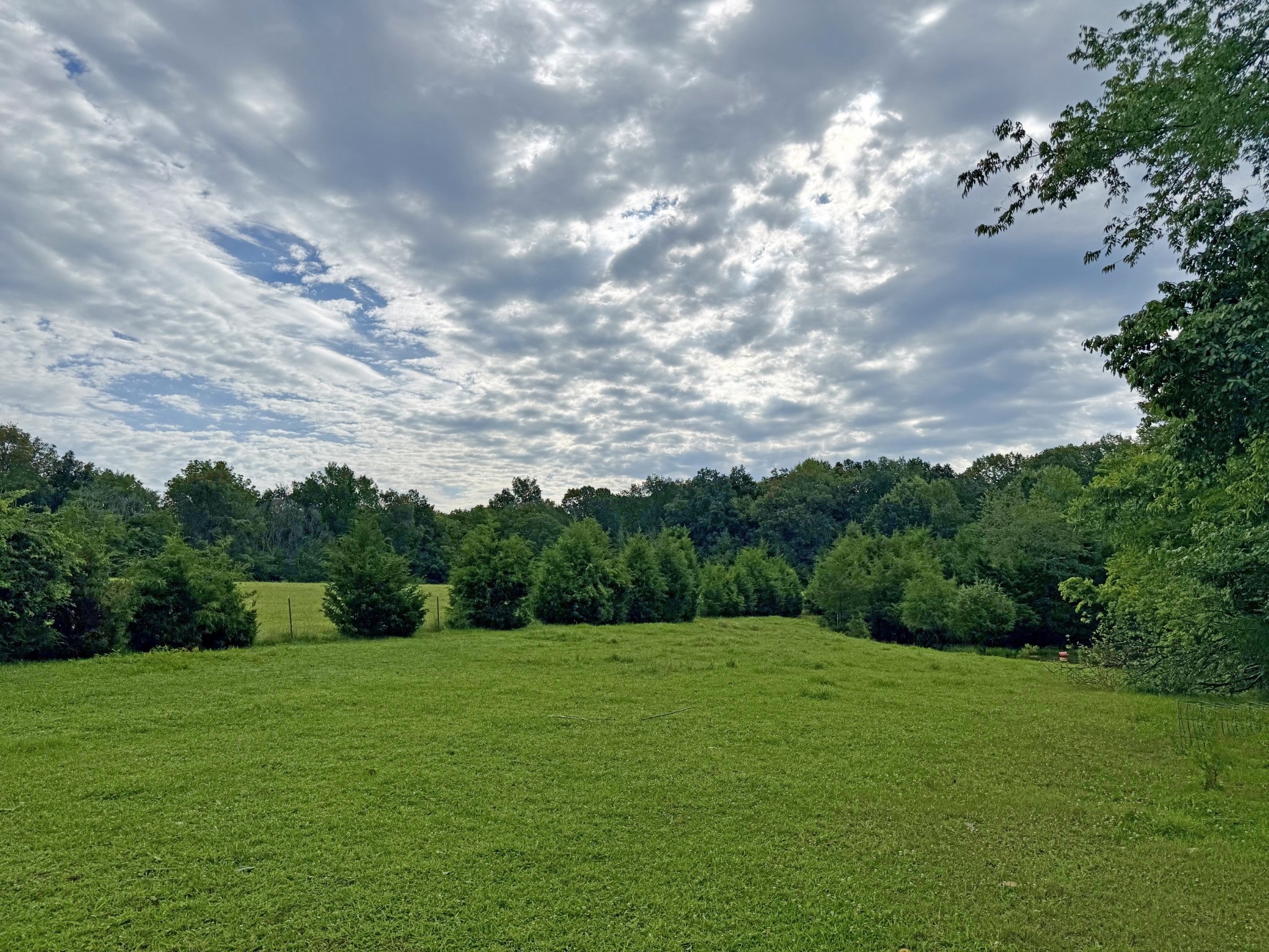 0 Gosnell Road Franklin, KY 42134 - Photo 2 of 7