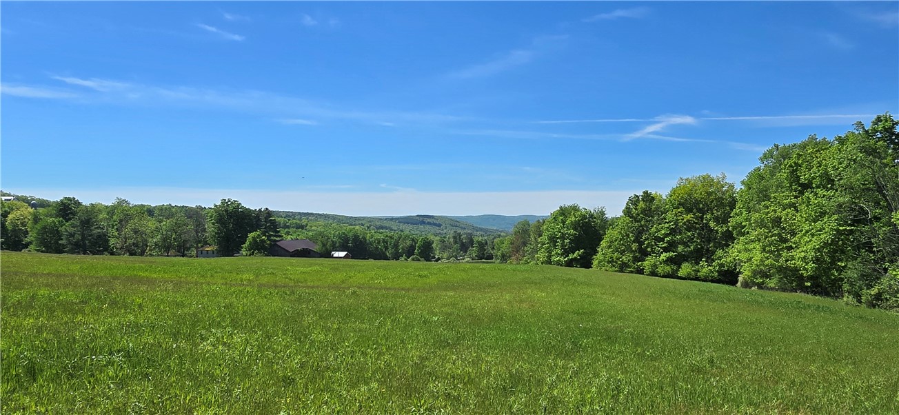 324 Murphy Hill Road Catlin, NY 14845 - Photo 34 of 47