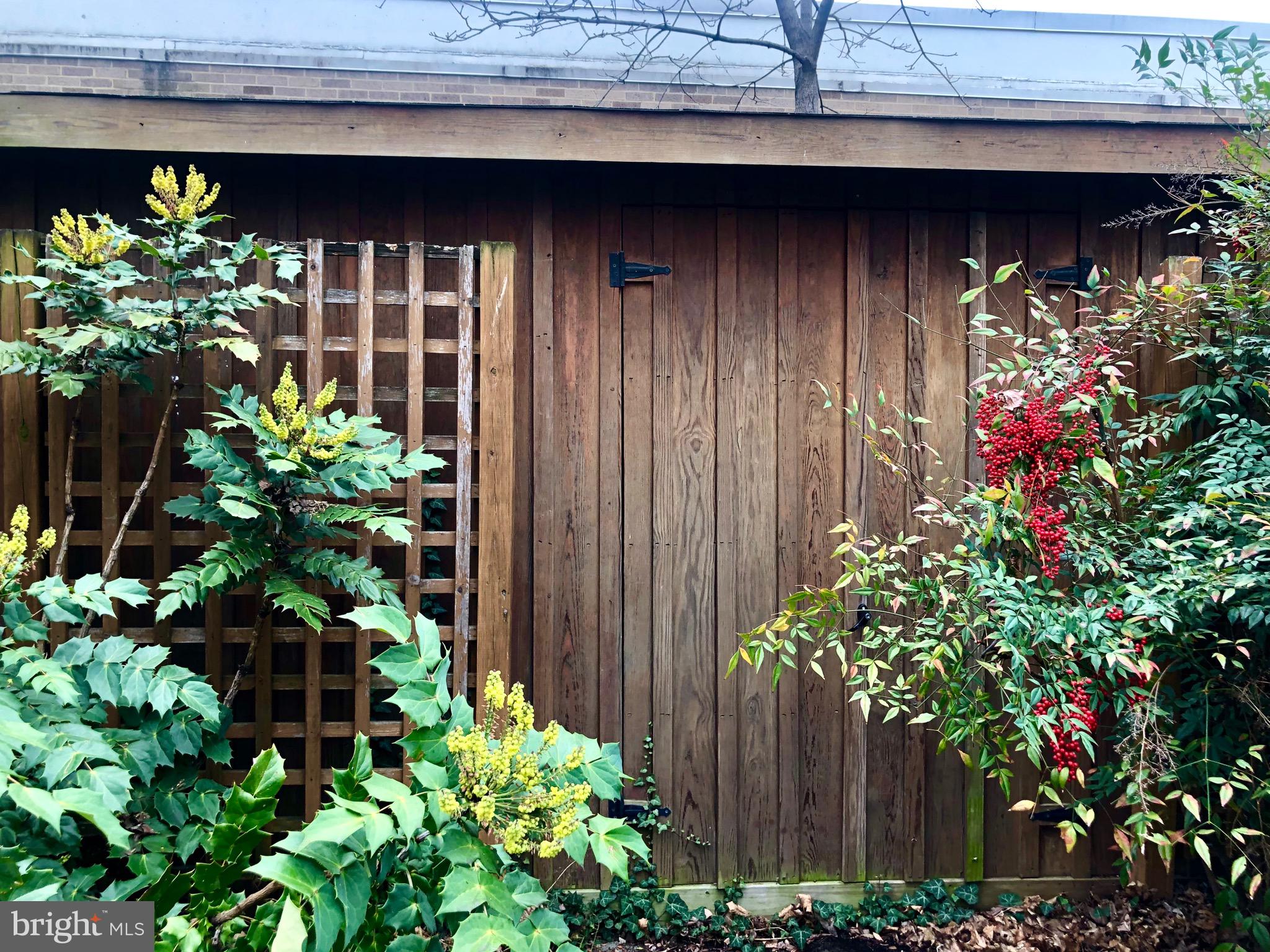317 4th Street Southeast Washington, DC 20003 - Photo 43 of 45 Shed built by the Amish