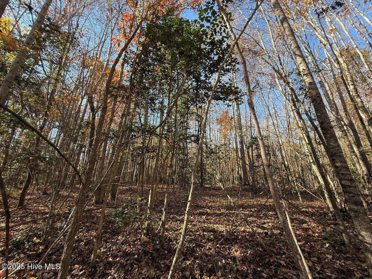 Lot 1 Russell Union Road Manson, NC 27553 - Photo 10 of 60 10