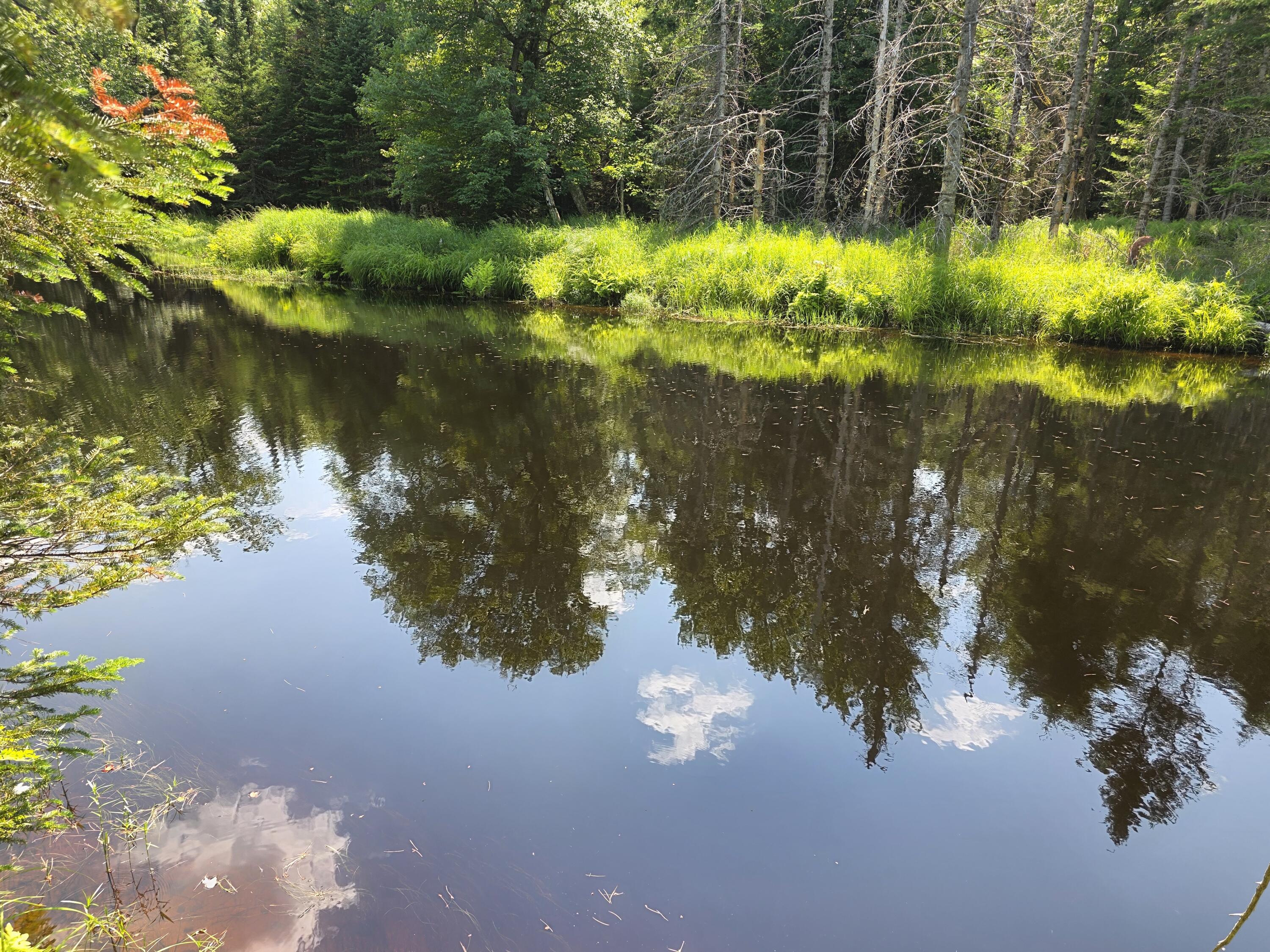 0 Brown Road Searsmont, ME 04973 - Photo 5 of 14 1000033533
