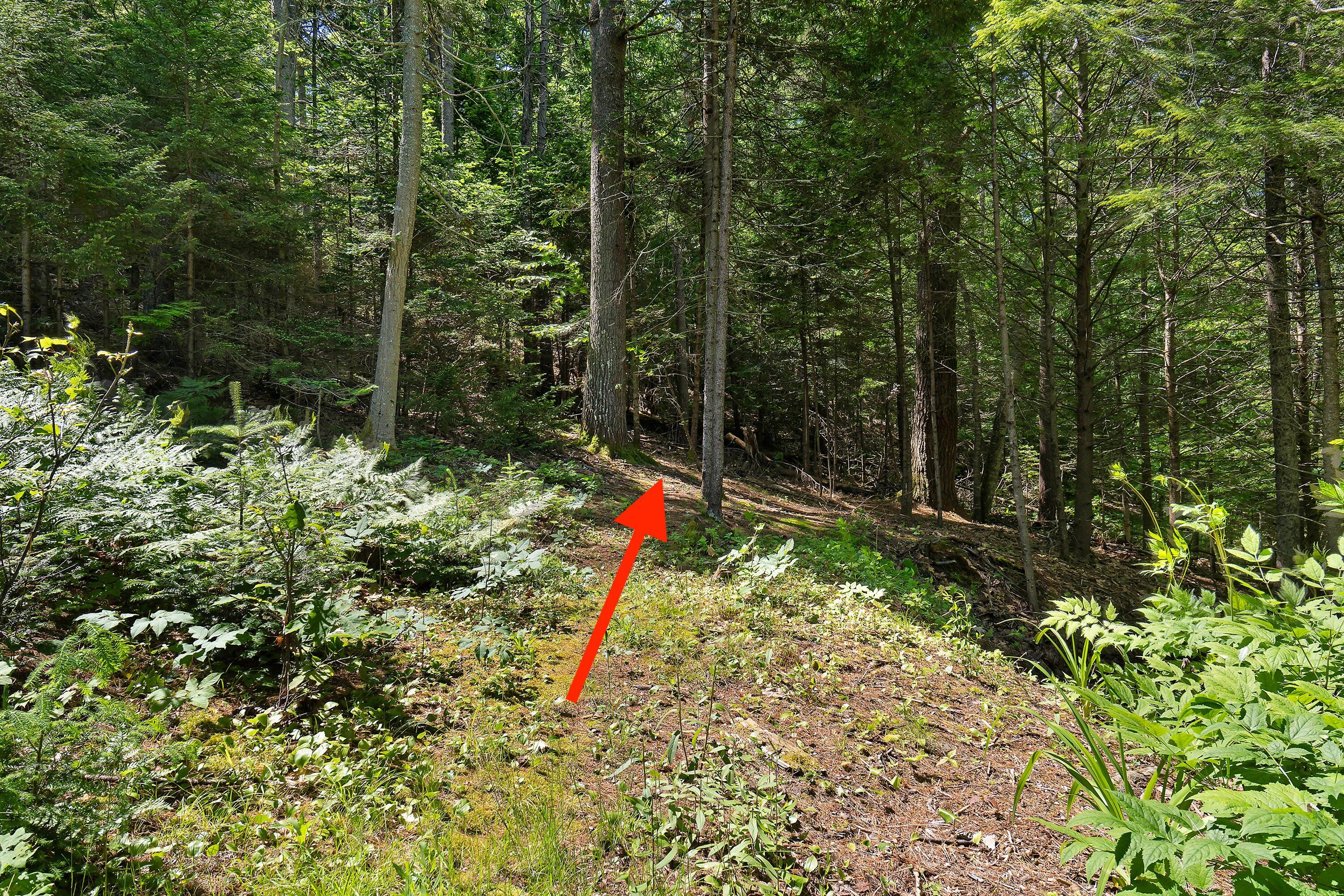 2 Harbor Ridge Road Freeport, ME 04032 - Photo 36 of 39 exterior trail network entry from backya