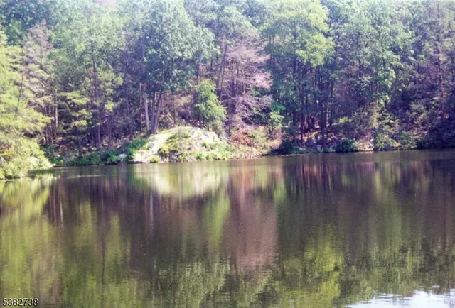 a view of river covered by trees