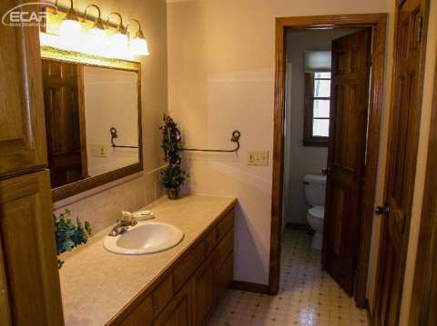 10100 South Graham Road St. Charles, MI 48655 - Photo 14 of 15