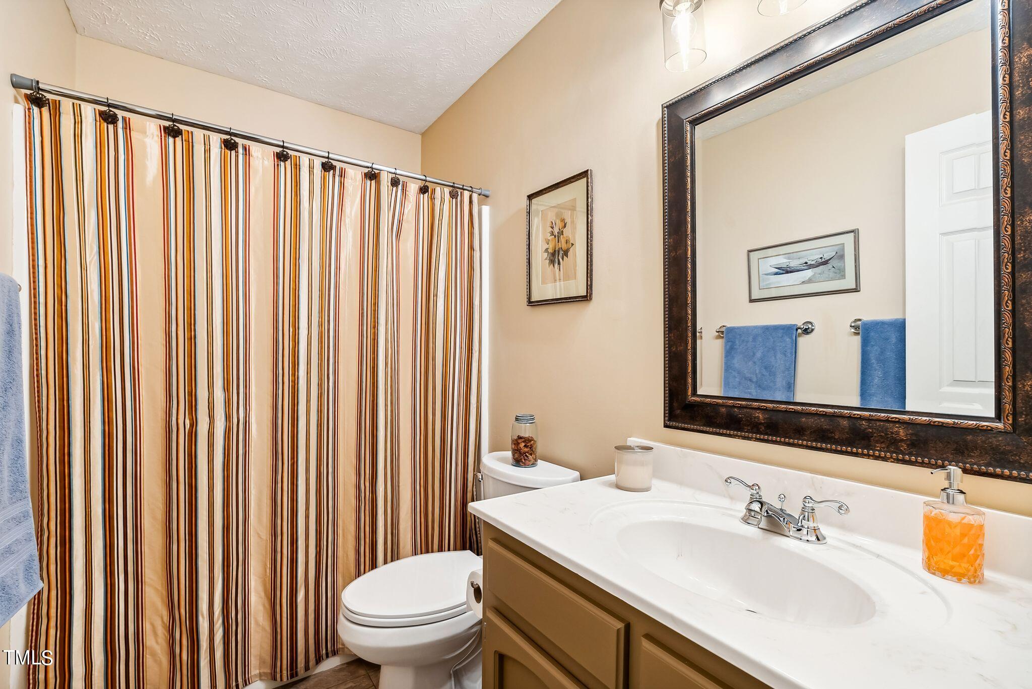 30341 East E Lake Rd Road Wagram, NC 28396 - Photo 24 of 39 a bathroom with a sink a toilet and shower curtain