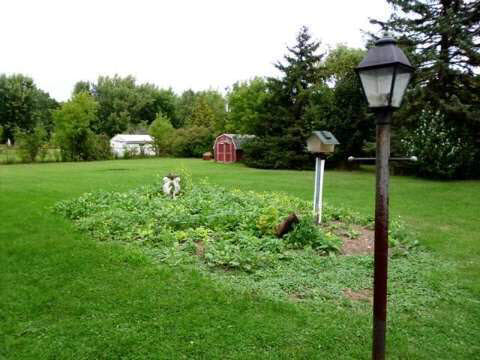 2461 Belsay Road Burton, MI 48519 - Photo 11 of 11 20373736-10.JPG