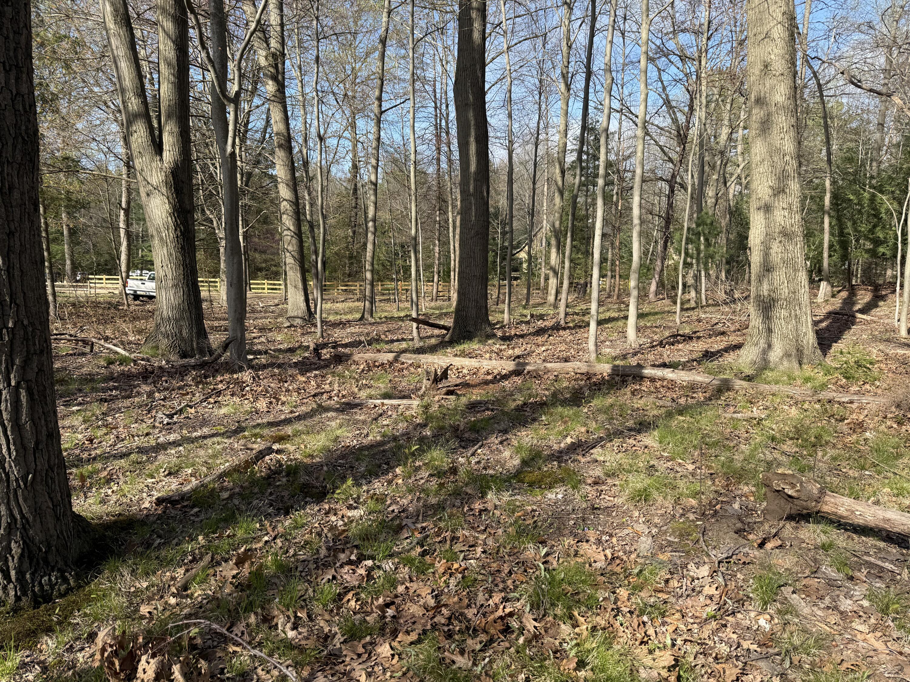 Abc Greenbush Road Harbert, MI 49115 - Photo 3 of 10 IMG_0068