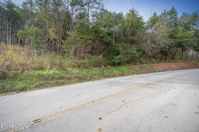 $35,000 | 0 Martins Creek Highway, Granville, TN 38564