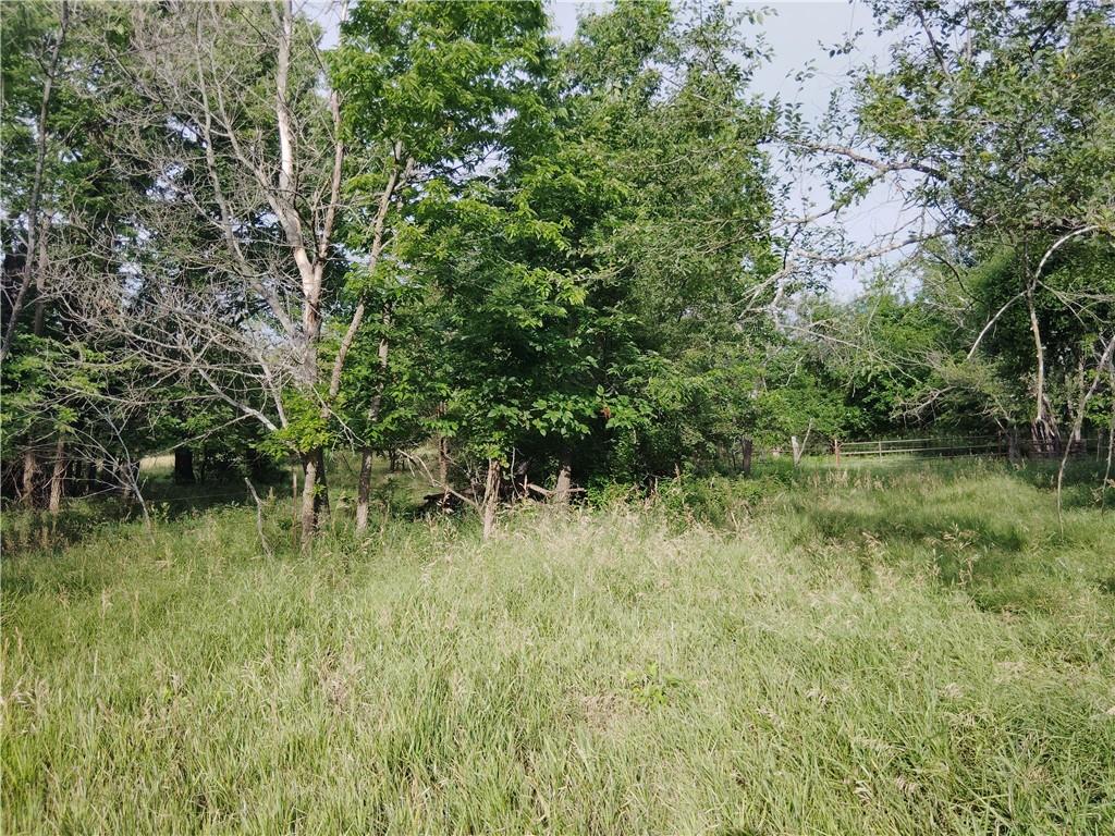 30218 Maple Grove Road Rantoul, KS 66079 - Photo 9 of 14