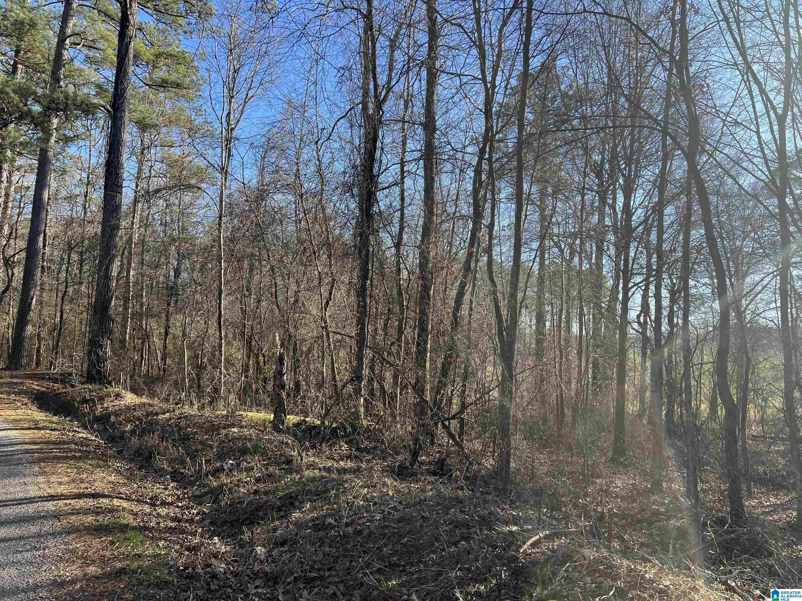 0 Altoona Cutoff Road, Unit 47 5 Oneonta, AL 35121 - Photo 14 of 36
