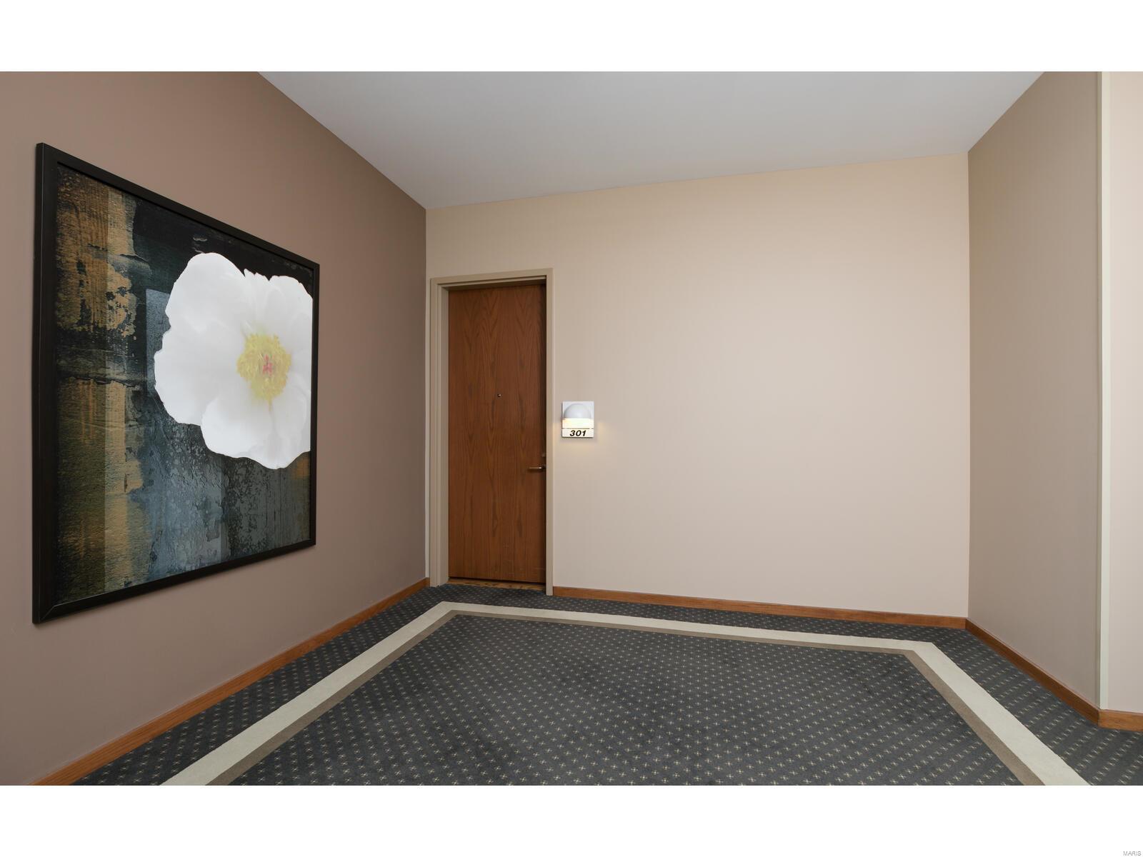 155 North Hanley Road, Unit 301 St. Louis, MO 63105 - Photo 2 of 26