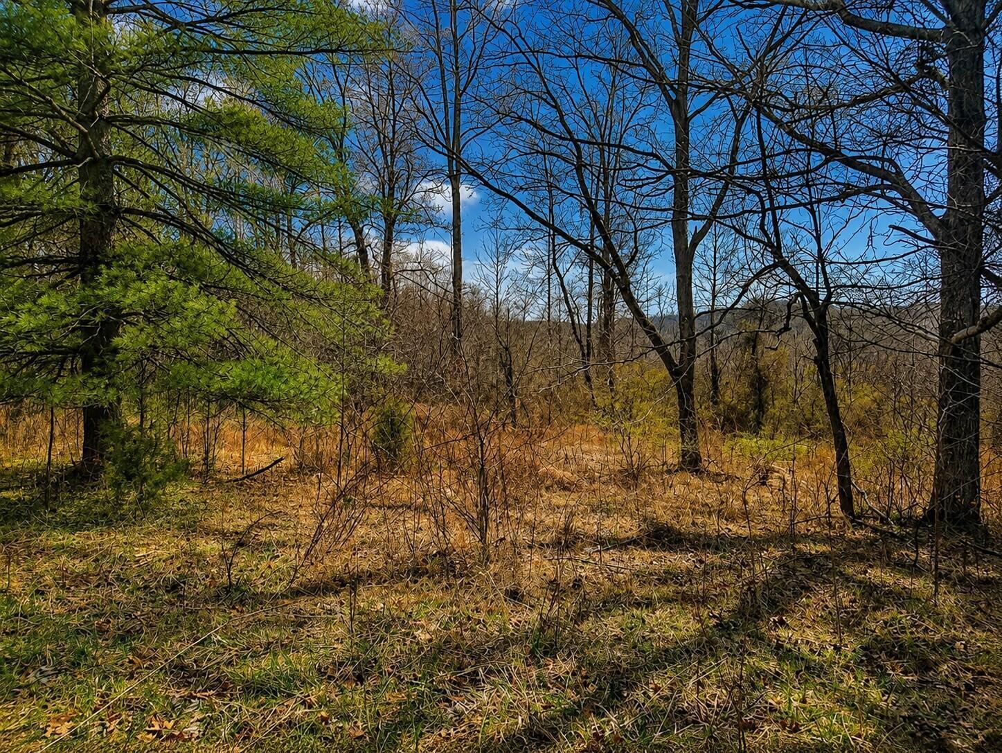 799 Woodruff Road Vinton, OH 45686 - Photo 2 of 4 ChatGPT Image Jul 15, 2026, 02_21_43 PM