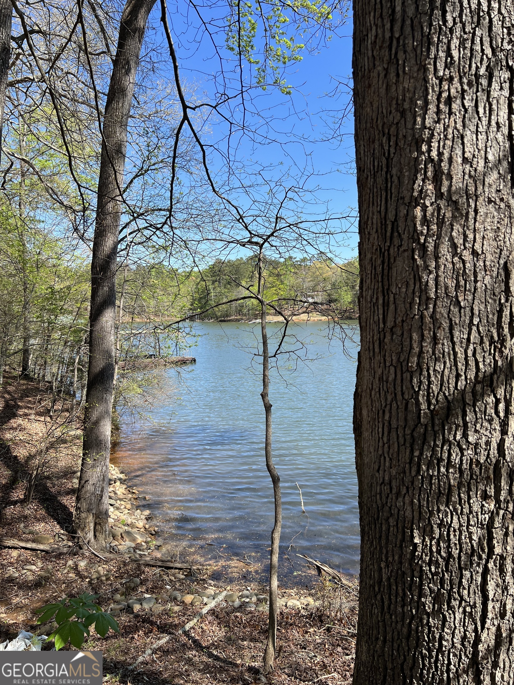 3274 Dunlap Drive Gainesville, GA 30506 - Photo 4 of 11 a view of a lake