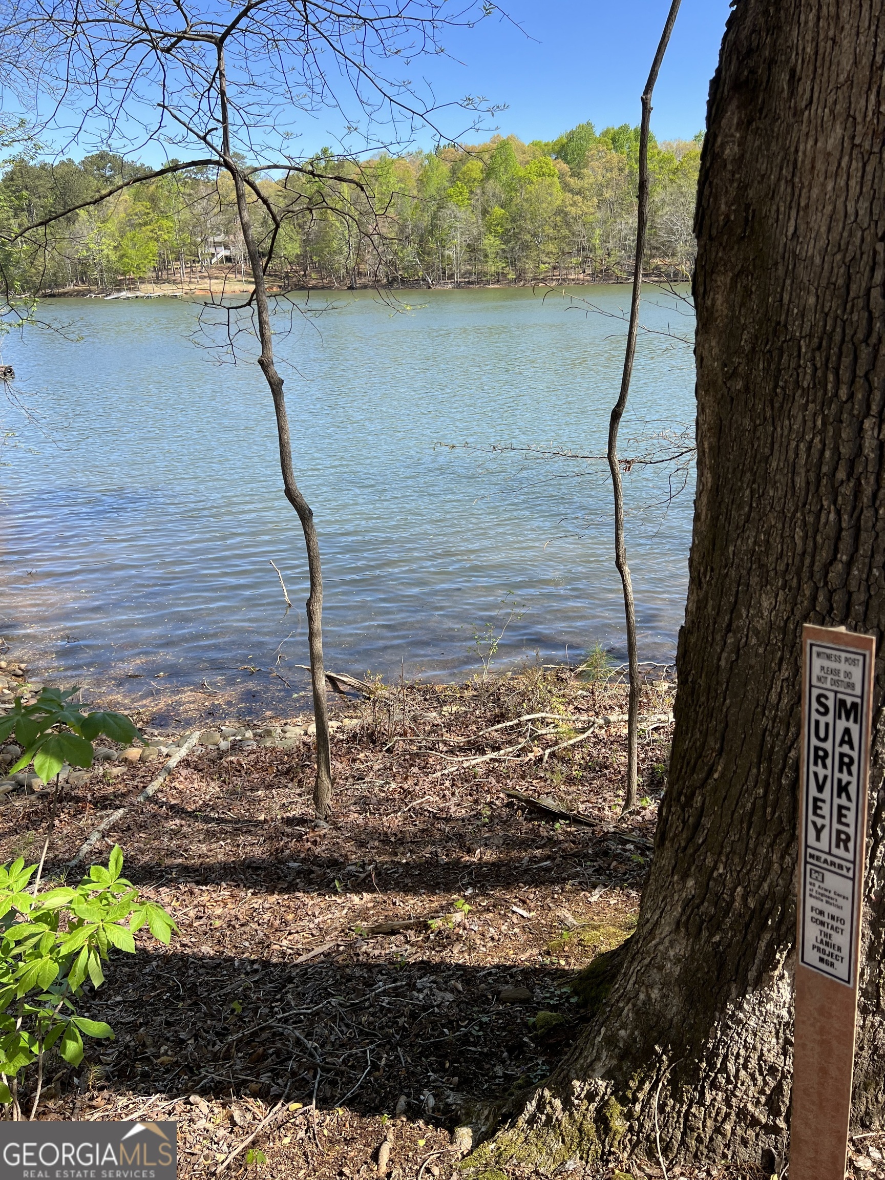 3274 Dunlap Drive Gainesville, GA 30506 - Photo 5 of 11