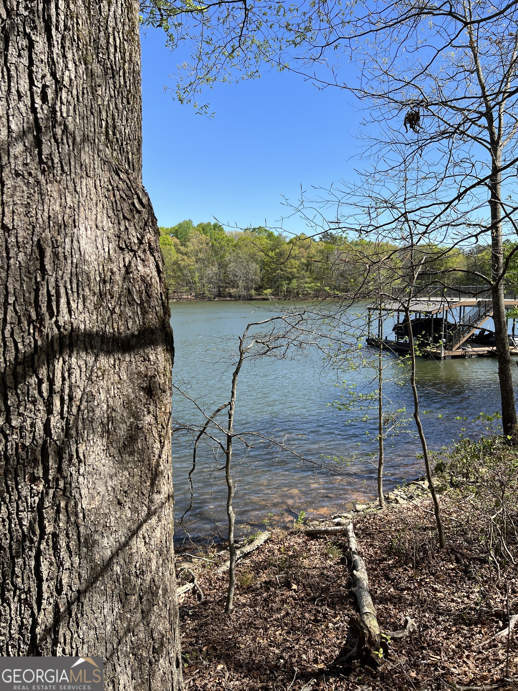 3274 Dunlap Drive Gainesville, GA 30506 - Photo 6 of 11 a view of a backyard of the house