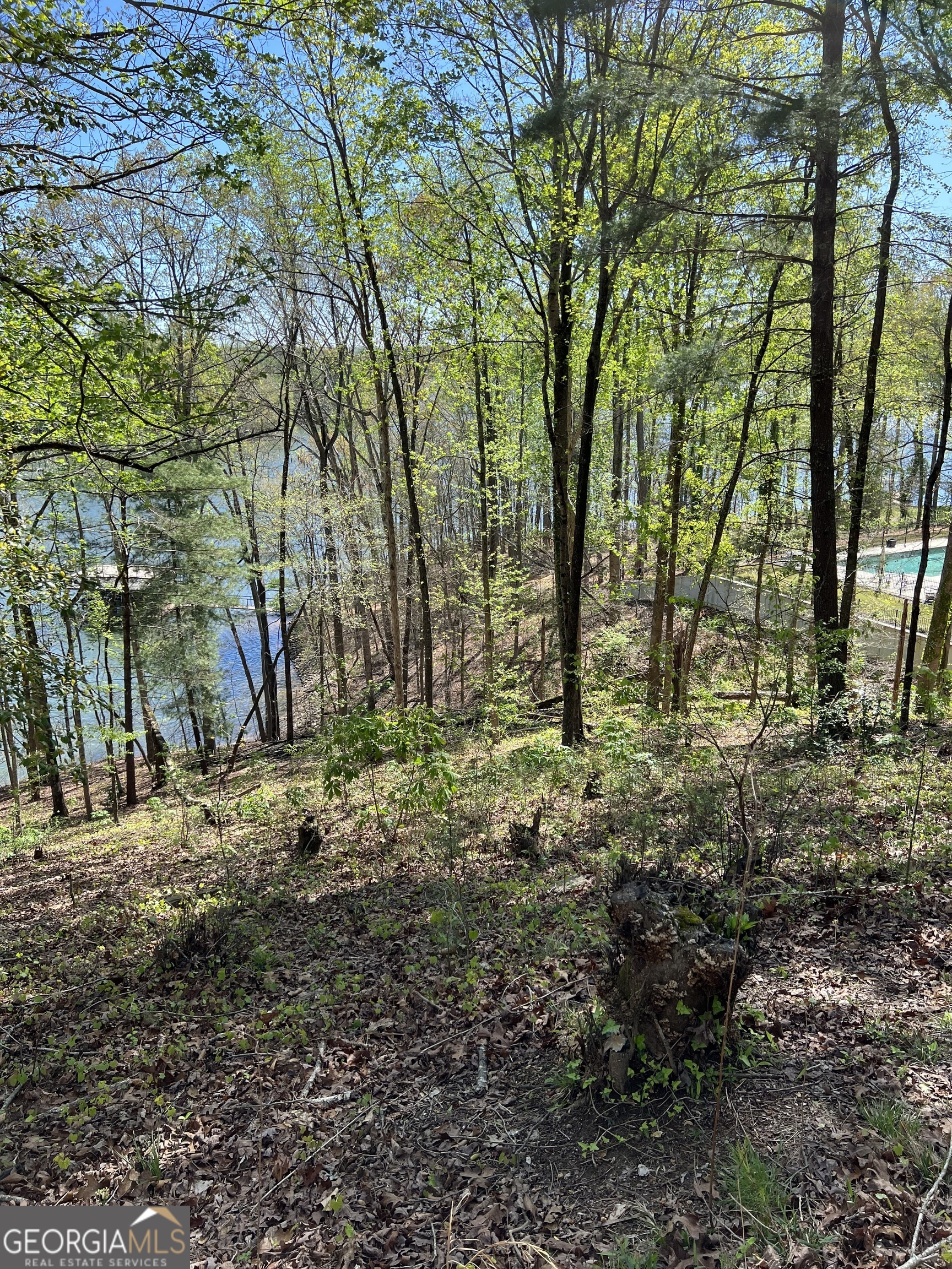 3274 Dunlap Drive Gainesville, GA 30506 - Photo 7 of 11 a backyard of a house with lots of green space