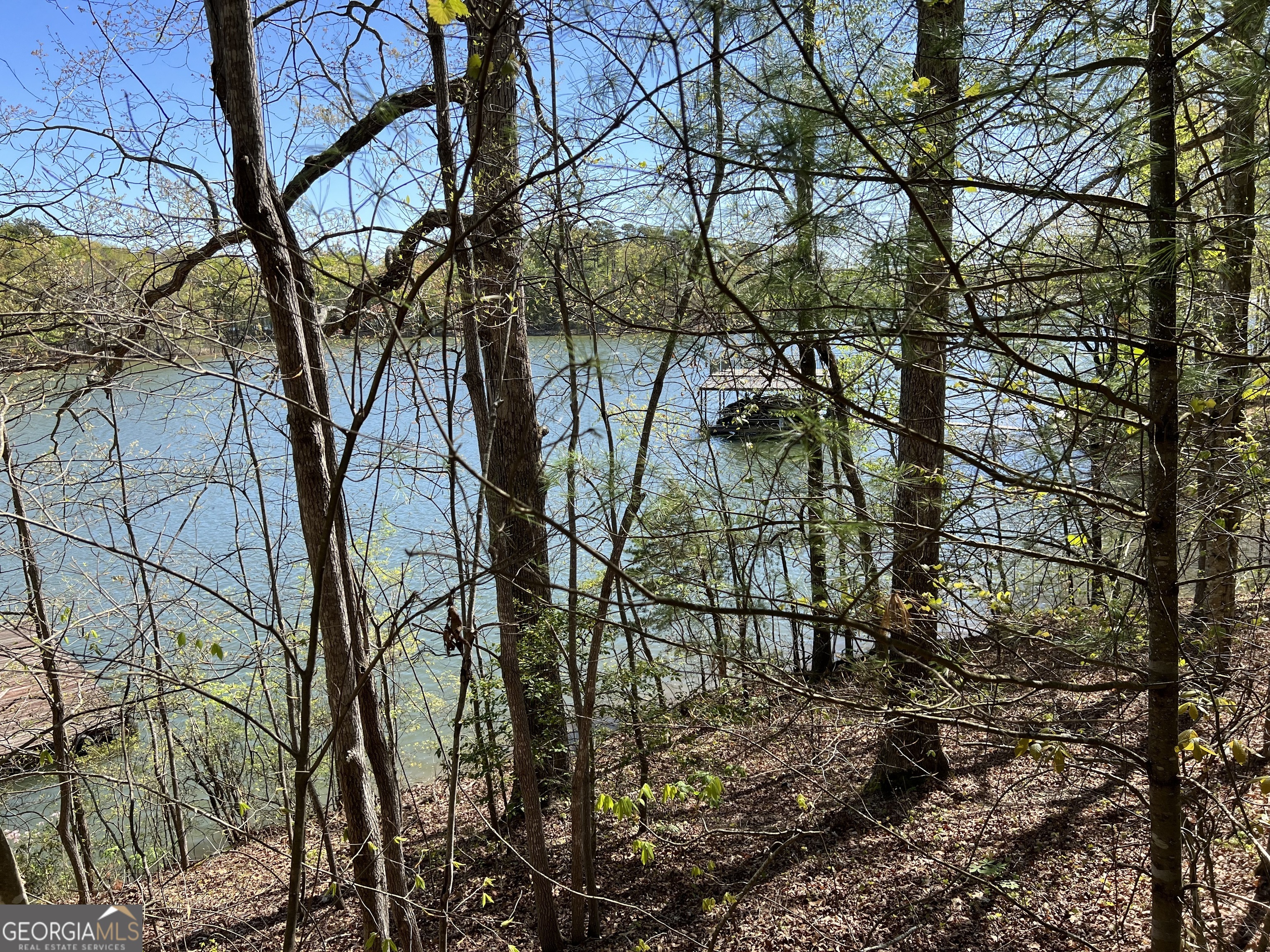 3274 Dunlap Drive Gainesville, GA 30506 - Photo 8 of 11 a backyard of a house with lots of green space