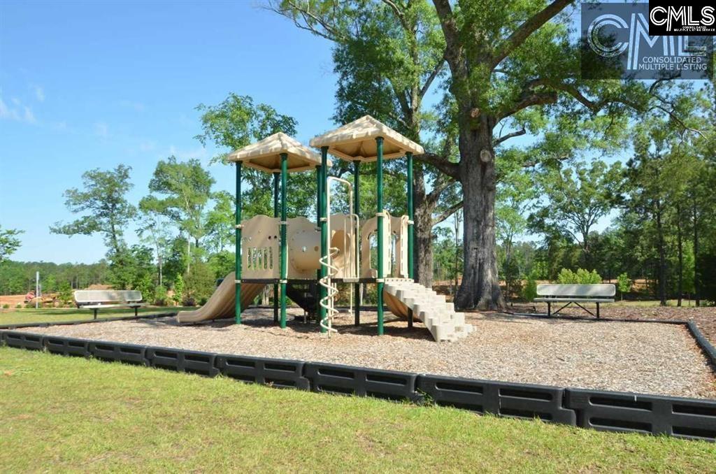 384 Explorer Drive Chapin, SC 29036 - Photo 28 of 32