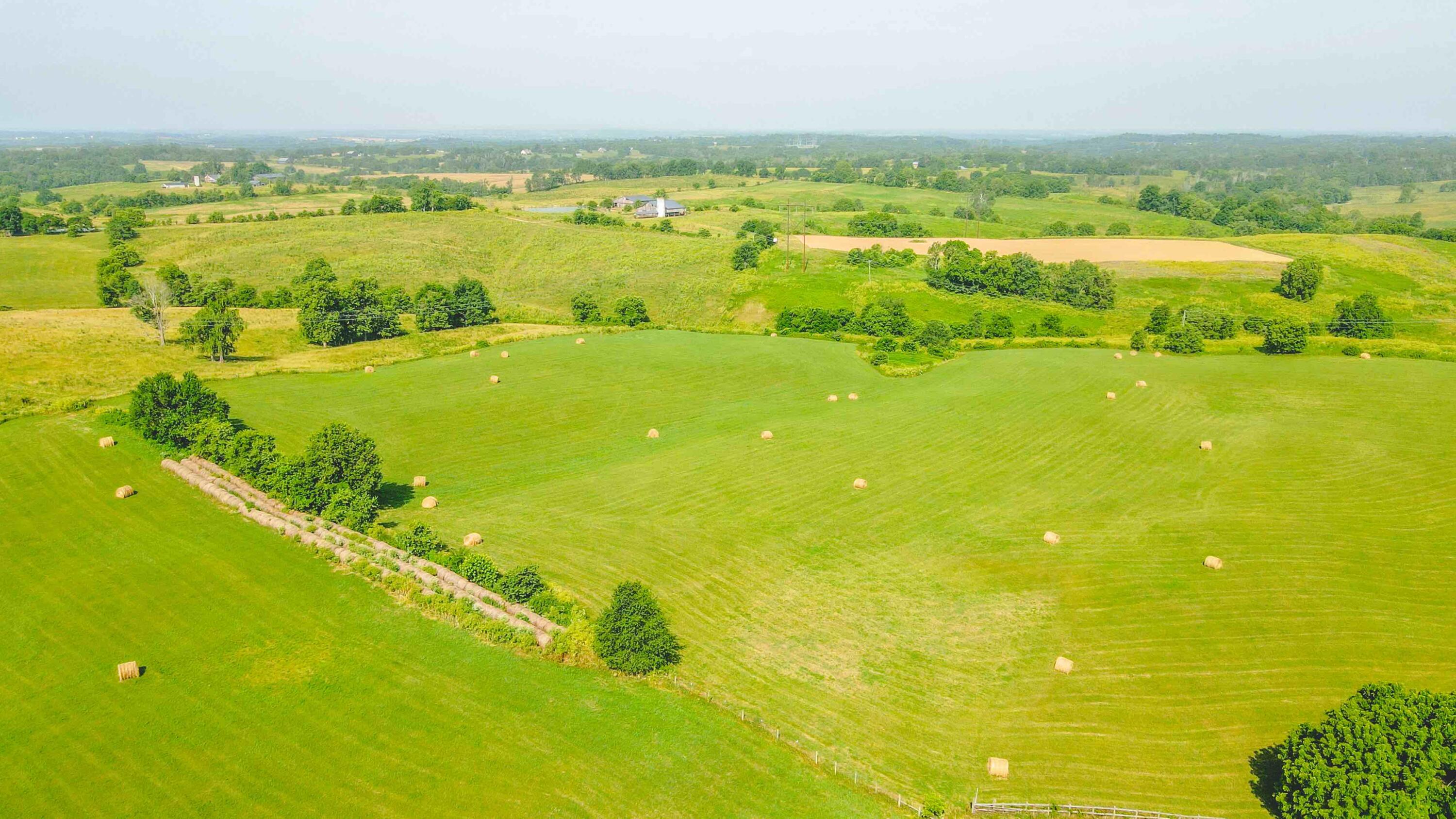 1685 Lexington Road Lancaster, KY 40444 - Photo 15 of 81 field 3