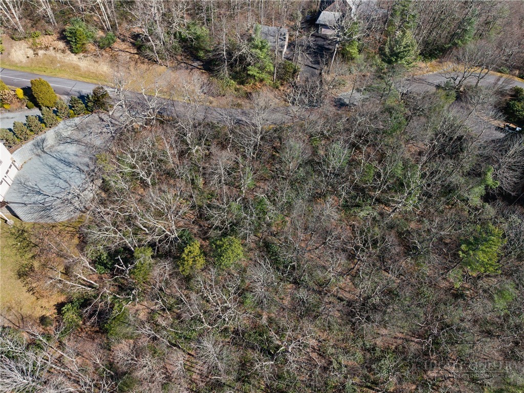Lot 61 Boone Coffey Trail Boone, NC 28607 - Photo 14 of 22
