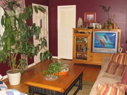 5605 Cliffwood Road Knoxville, TN 37921 - Photo 6 of 13 Additional Photo