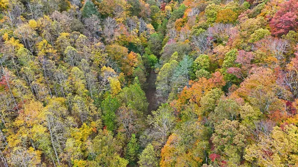 $599,000 | 5186 Lick Creek Road, Clinchco, VA 24226