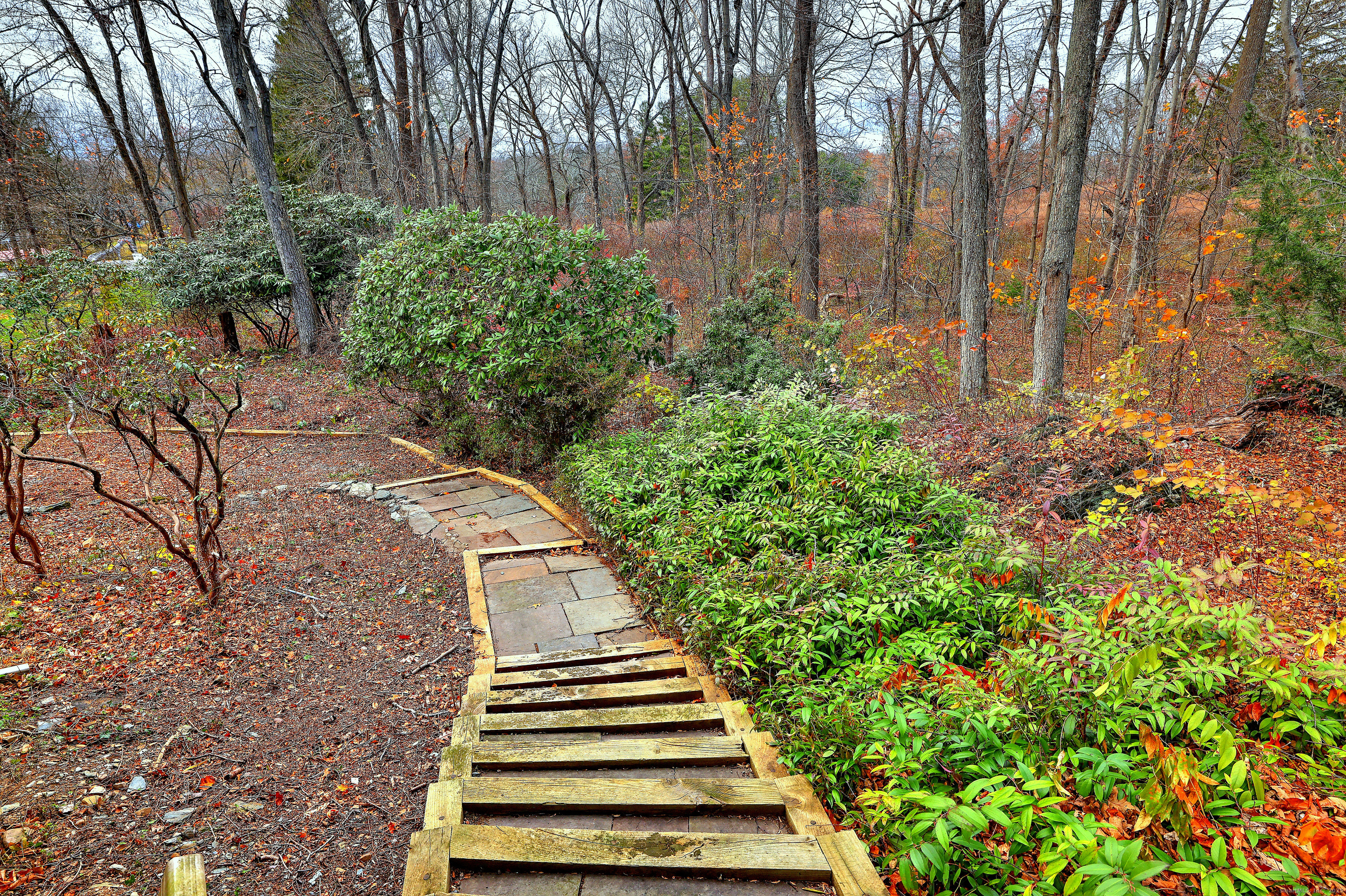 70 Woodfield Road Woodbridge, CT 06525 - Photo 35 of 37 a view of a yard with plants and trees