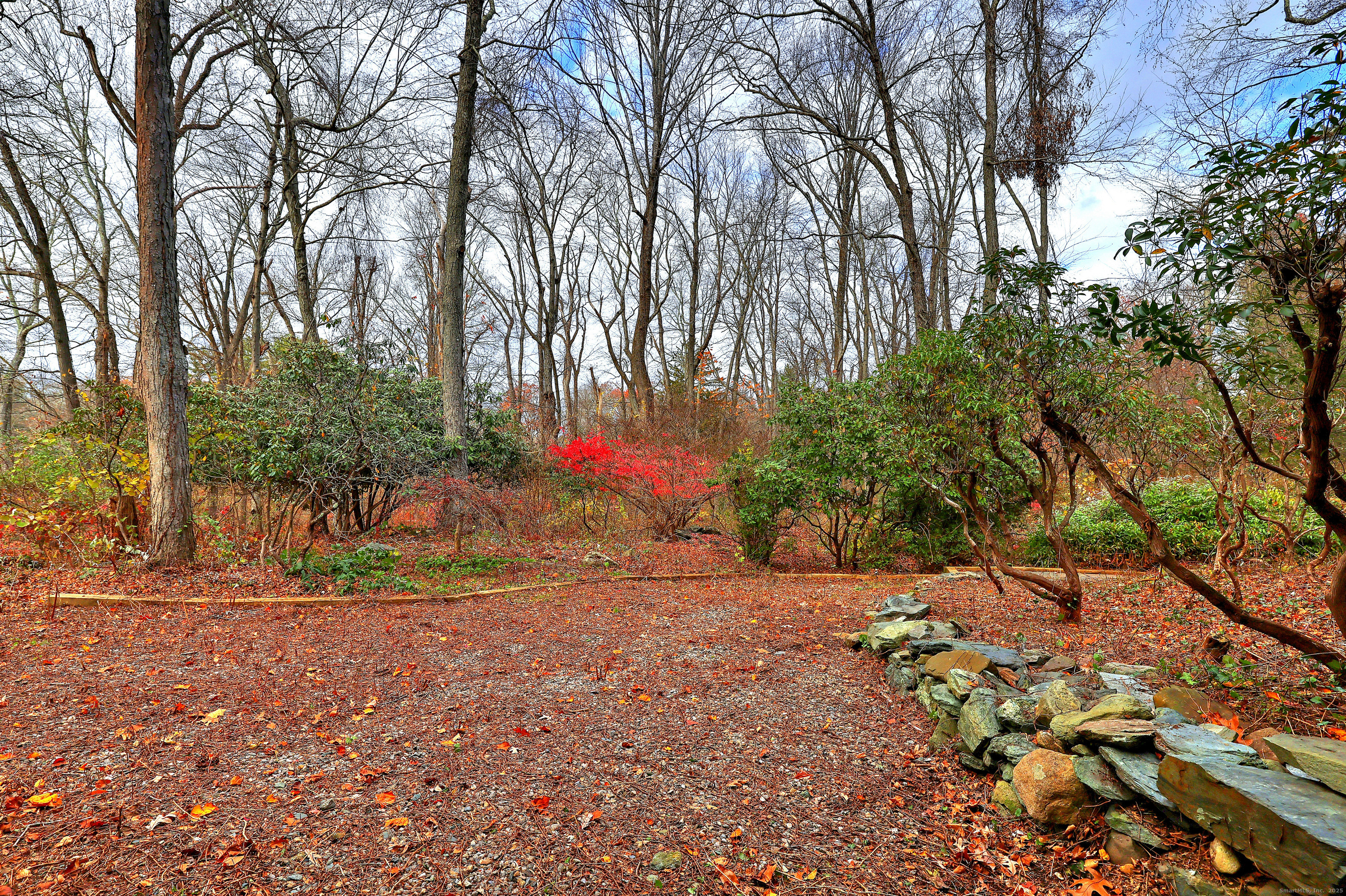 70 Woodfield Road Woodbridge, CT 06525 - Photo 37 of 37 a view of backyard with green space and trees