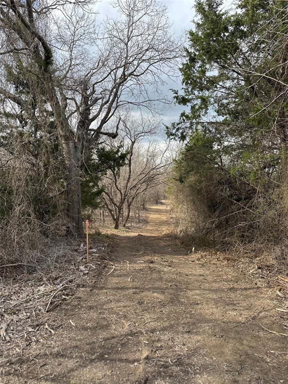 0 Sandswitch Road Ennis, TX 75119 - Photo 16 of 31 a view of dirt yard with a tree