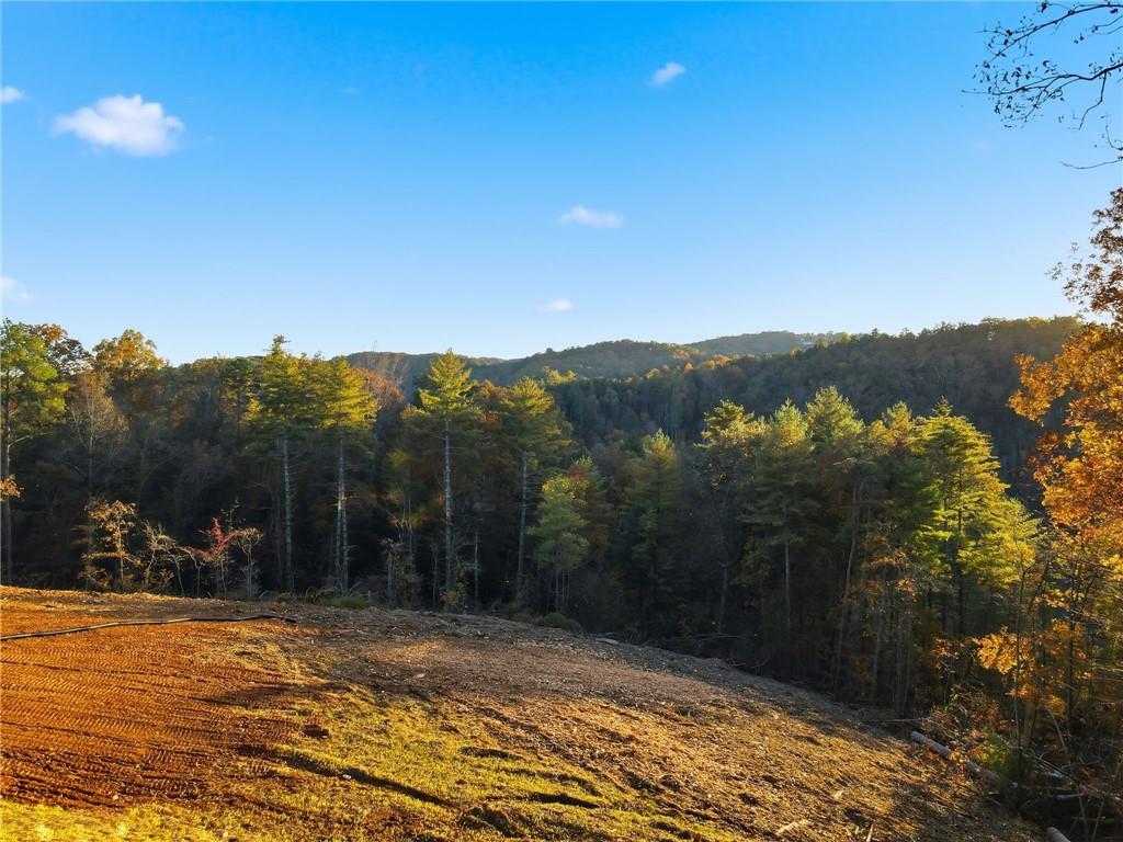 a view of a town with mountains in the background
