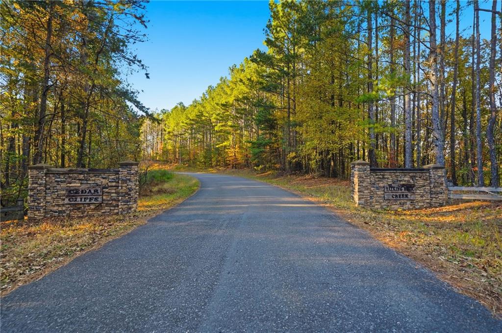 1783 Hunter Drive Ranger, GA 30734 - Photo 39 of 40 a view of a yard with plants and trees