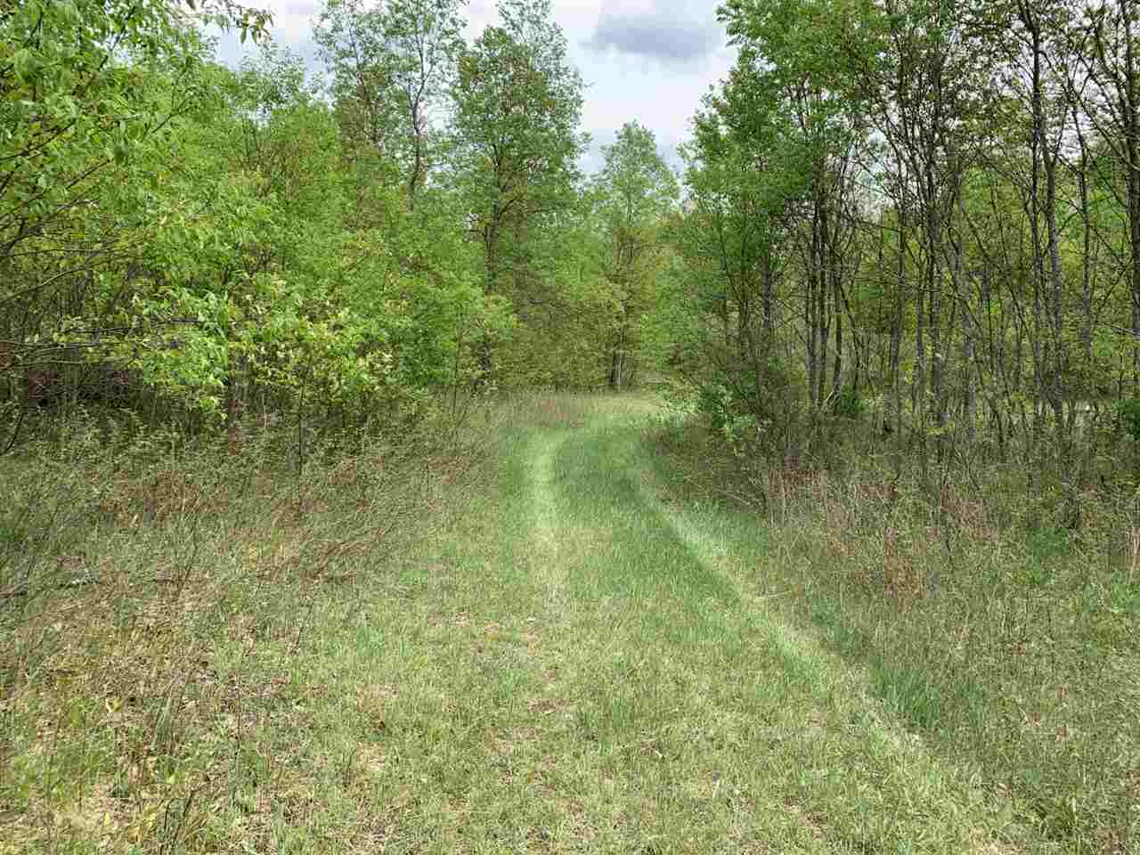 40 South 17 Road Boon, MI 49618 - Photo 13 of 33