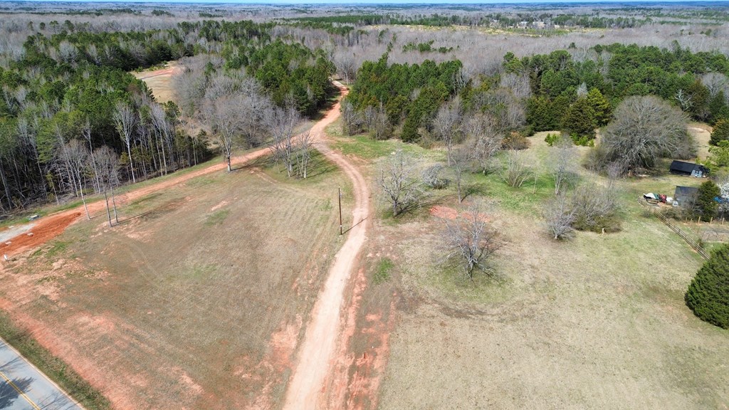0 Metric Road Laurens, SC 29360 - Photo 3 of 7 Gallery Image 3