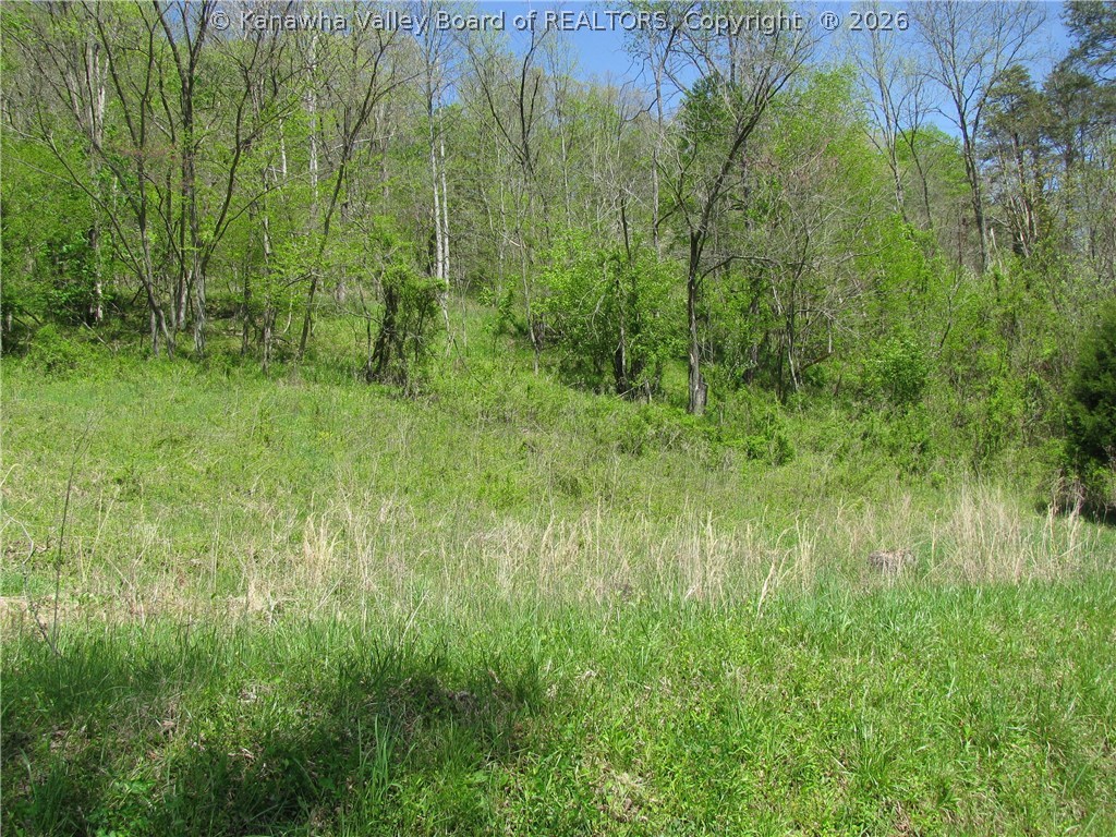 986 Angel Fork Road St. Albans, WV 25177 - Photo 7 of 8 Gallery Image 7