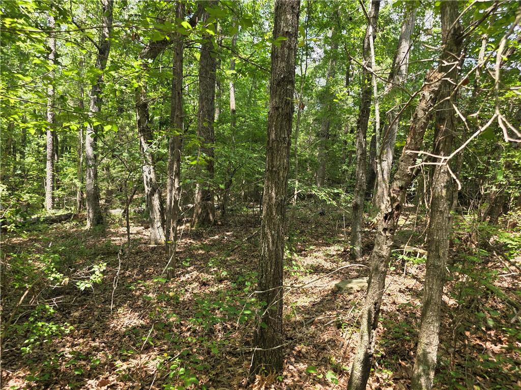 0 Gentry Road Seneca, SC 29678 - Photo 2 of 9 Gallery Image 2