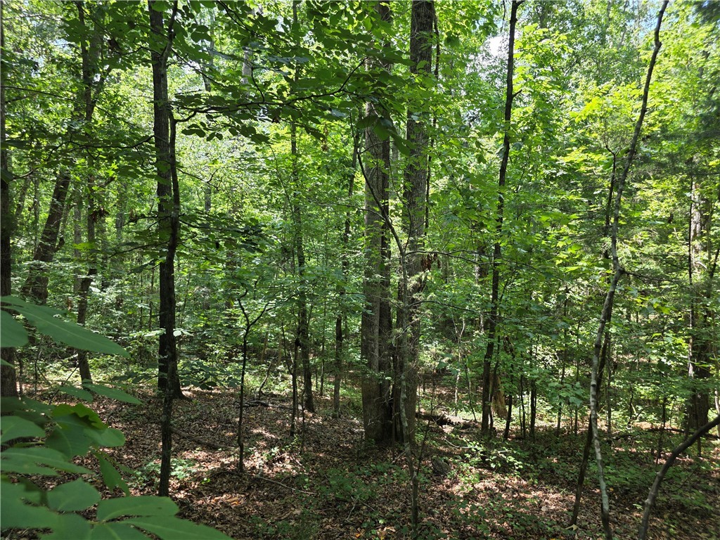 0 Gentry Road Seneca, SC 29678 - Photo 3 of 9 Gallery Image 3