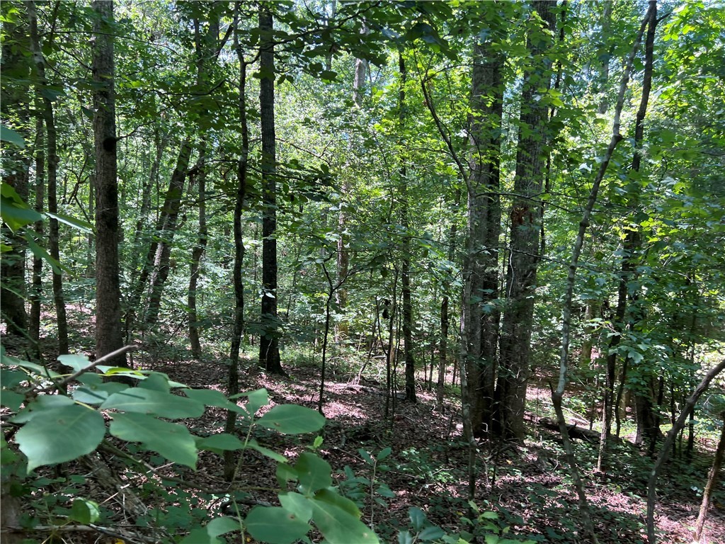 0 Gentry Road Seneca, SC 29678 - Photo 4 of 9 Gallery Image 4