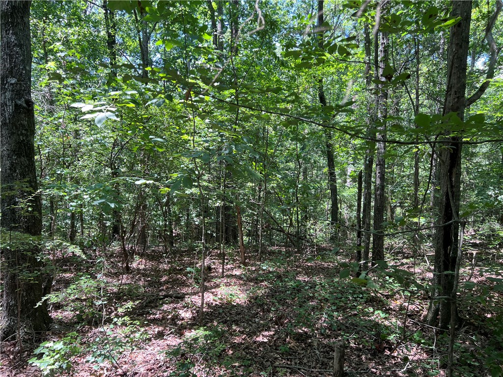 0 Gentry Road Seneca, SC 29678 - Photo 5 of 9 Gallery Image 5