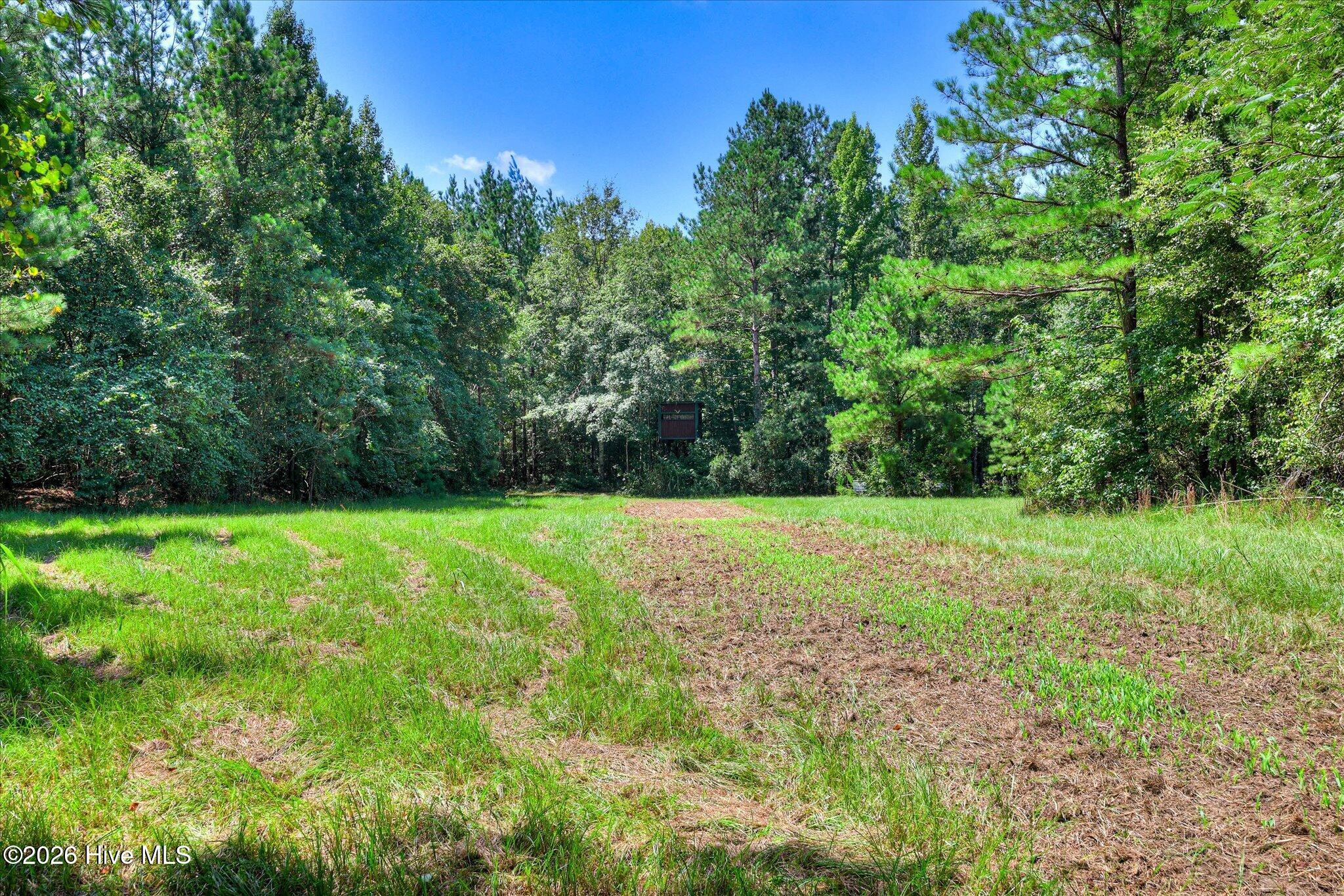 170 Landing Road Jackson, SC 29831 - Photo 37 of 76 Gallery Image 37