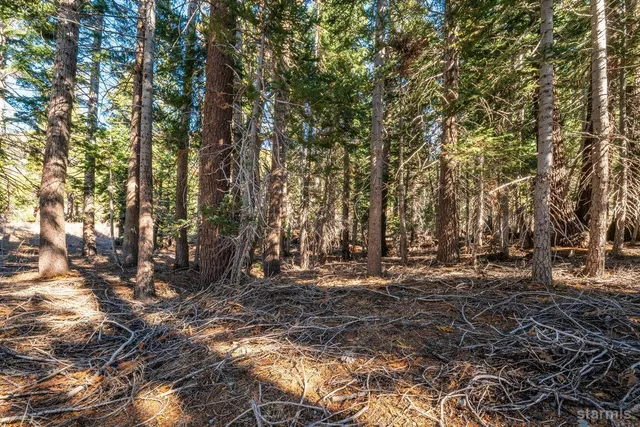 a view of snow on the side of a road