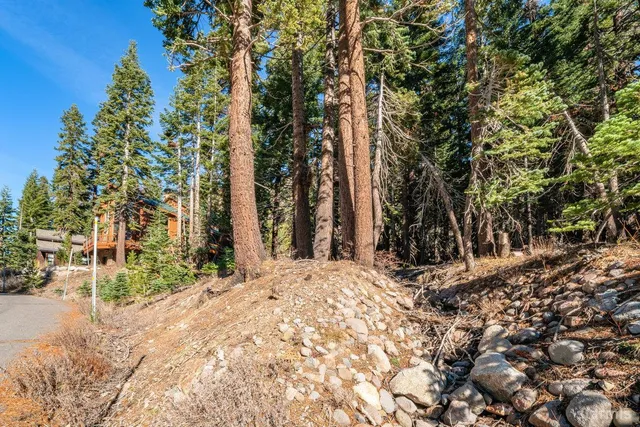a view of a tree in front of a house