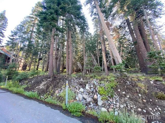 a view of backyard with green space