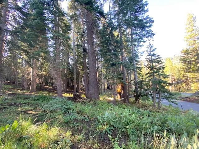 a view of a outdoor space