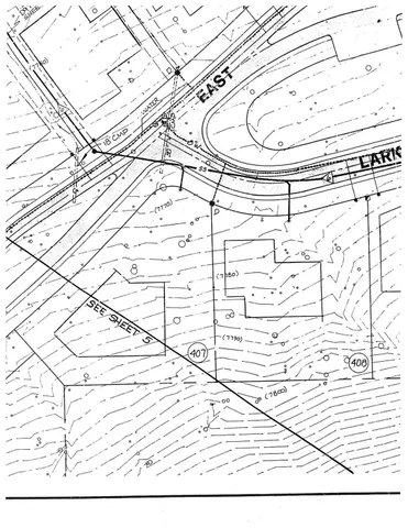 a view of a yard with plants and trees