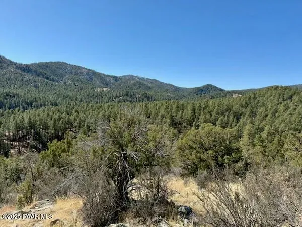 a view of a mountain range with lush green forest
