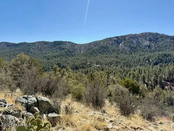 a view of a dry yard with mountains in the background