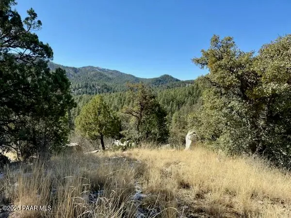 a view of a lake with a mountain in the background